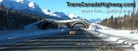 Trans-Canada Highway image 2
